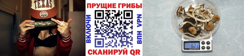 Псилоцибиновые грибы мицелий  Кремёнки 